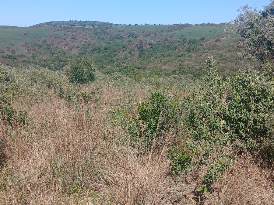 0 Bedroom Property for Sale in Haga Haga Eastern Cape